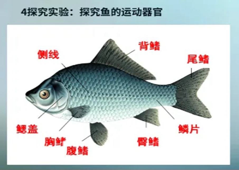 640.webp (4).jpg